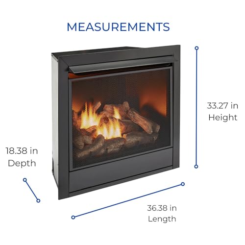 Dual Fuel Ventless Gas Fireplace Insert – 32,000 BTU