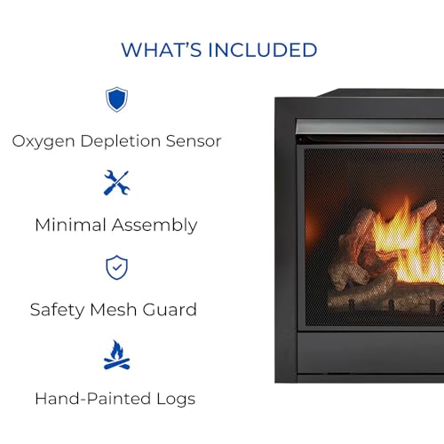 Dual Fuel Ventless Gas Fireplace Insert – 32,000 BTU