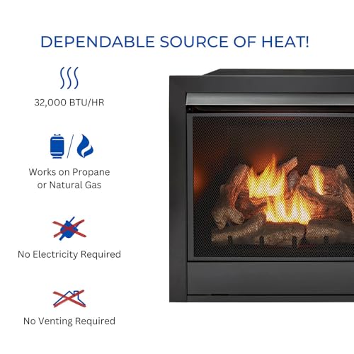 Dual Fuel Ventless Gas Fireplace Insert – 32,000 BTU