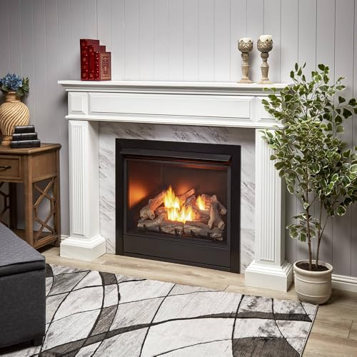 Dual Fuel Ventless Gas Fireplace Insert – 32,000 BTU