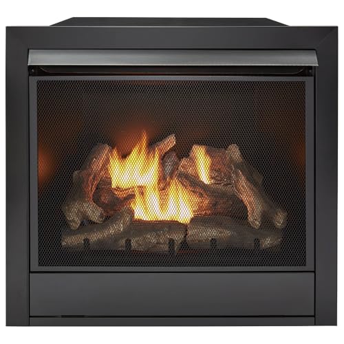 Dual Fuel Ventless Gas Fireplace Insert – 32,000 BTU