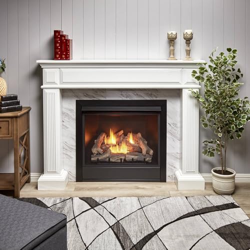 Dual Fuel Ventless Gas Fireplace Insert – 32,000 BTU