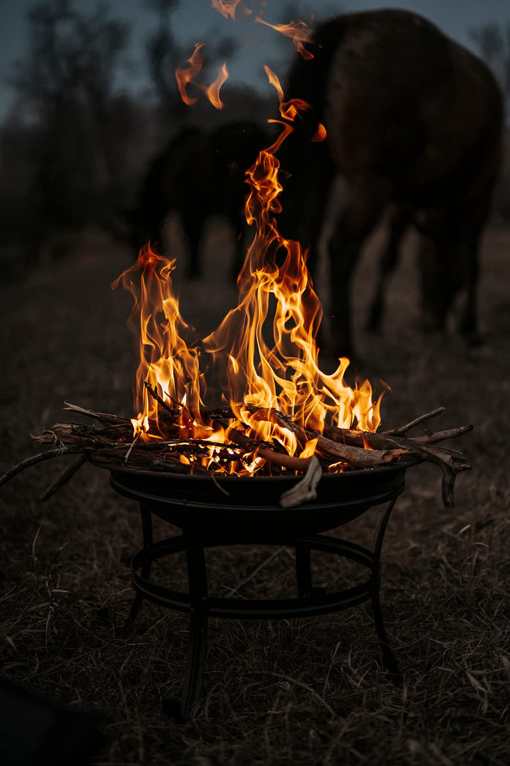 22" Outdoor Wood Burning Fire Pit with Mesh Lid
