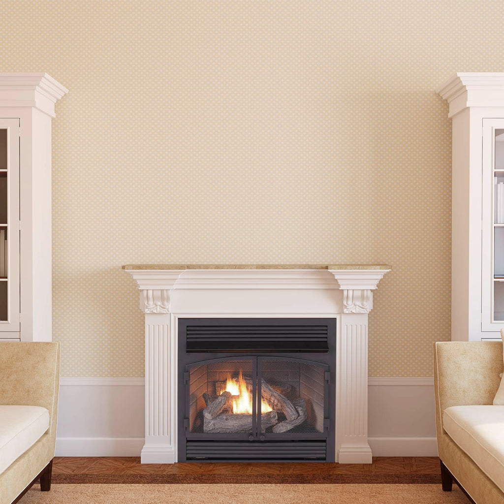 Dual Fuel Ventless Gas Fireplace Insert – 32,000 BTU
