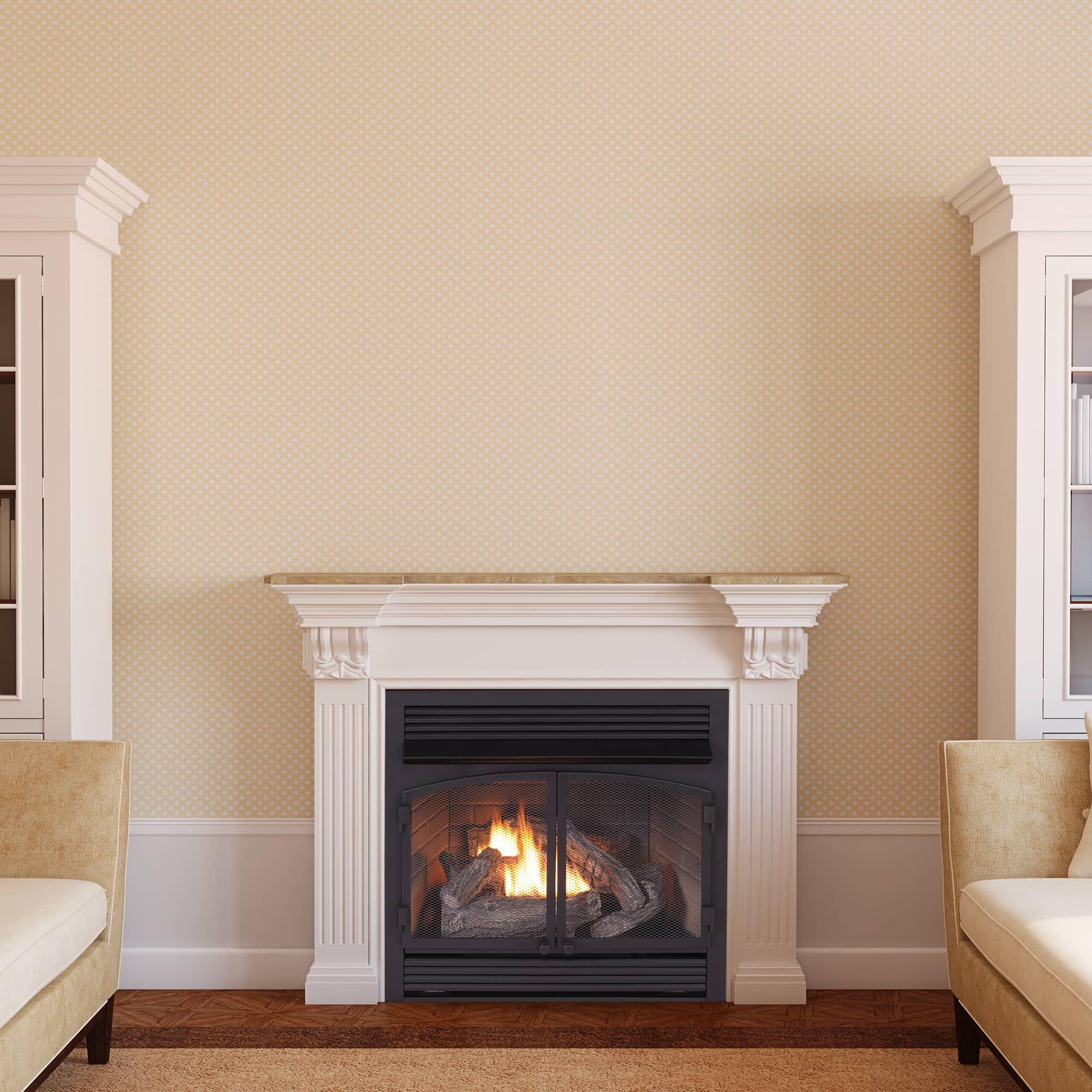 Dual Fuel Ventless Gas Fireplace Insert – 32,000 BTU