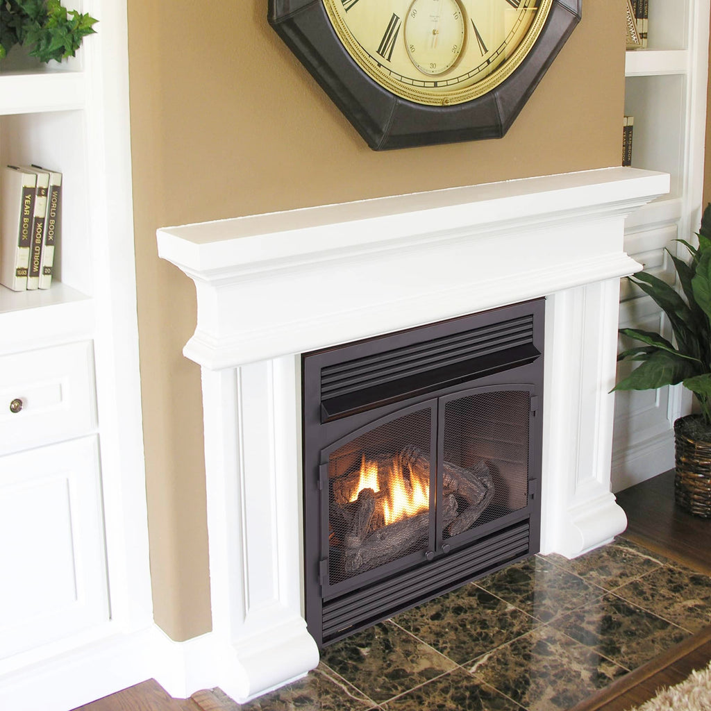 Dual Fuel Ventless Gas Fireplace Insert – 32,000 BTU
